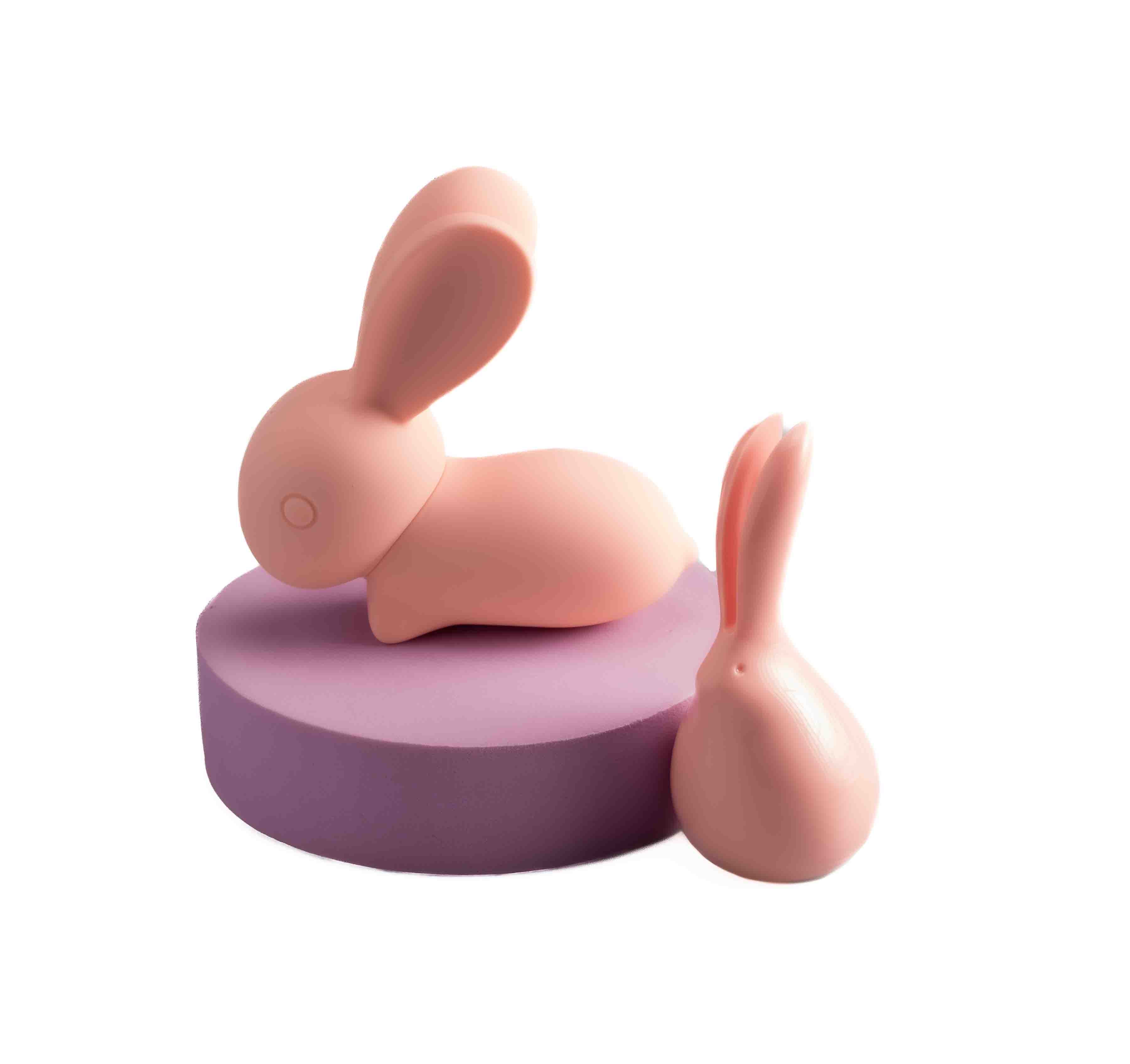 BUNNY REMOTE SUPER CLITORIS RECARGABLE